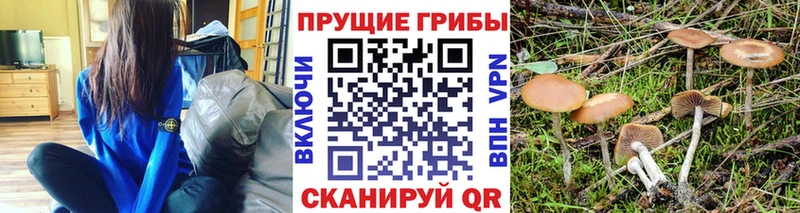 мега ссылки  Инта  Галлюциногенные грибы Magic Shrooms 